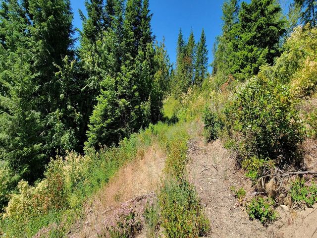 NKN Cosmos - Lots 23, 24, 27 Ln, Newport, WA 99156