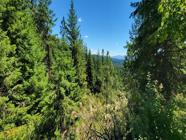 NKN Cosmos - Lots 23, 24, 27 Ln, Newport, WA 99156