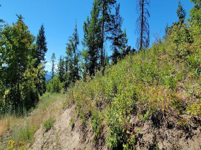 NKN Cosmos - Lots 23, 24, 27 Ln, Newport, WA 99156