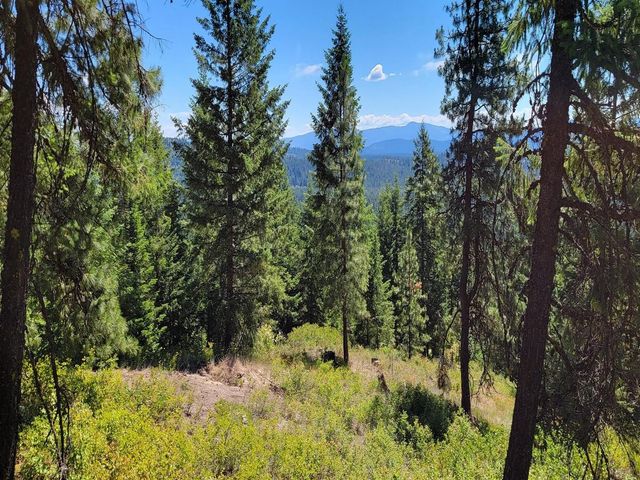 NKN Cosmos - Lots 23, 24, 27 Ln, Newport, WA 99156