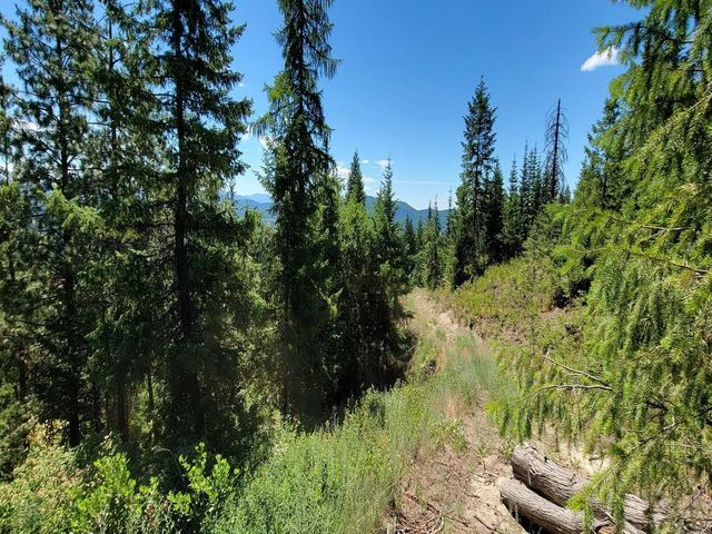 NKN Cosmos - Lots 23, 24, 27 Ln, Newport, WA 99156