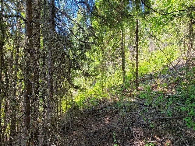 NKN Cosmos - Lots 23, 24, 27 Ln, Newport, WA 99156