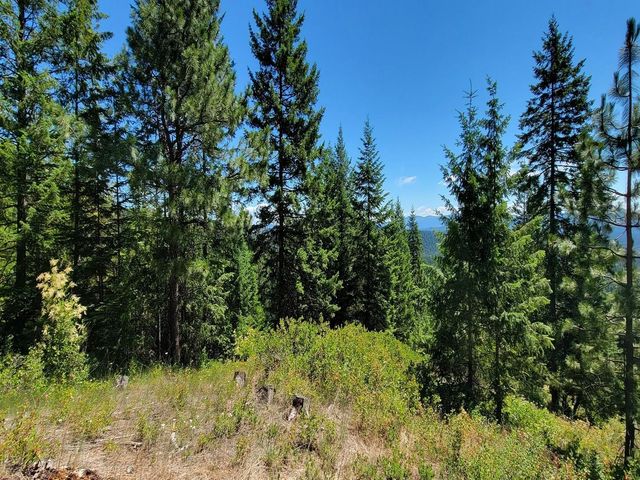 NKN Cosmos - Lots 23, 24, 27 Ln, Newport, WA 99156