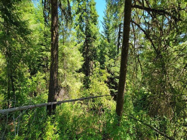 NKN Cosmos - Lots 23, 24, 27 Ln, Newport, WA 99156