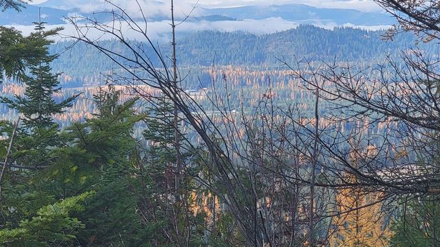 NKN Cosmos - Lots 23, 24, 27 Ln, Newport, WA 99156