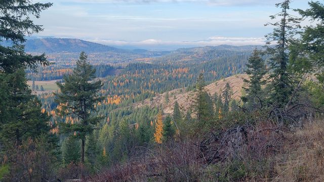 NKN Cosmos - Lots 23, 24, 27 Ln, Newport, WA 99156