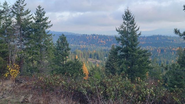 NKN Cosmos - Lots 23, 24, 27 Ln, Newport, WA 99156