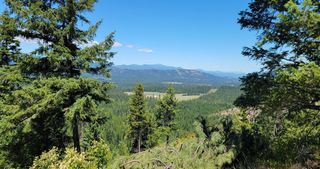 NKN Cosmos - Lots 23, 24, 27 Ln, Newport, WA 99156