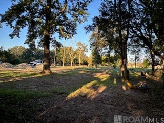 16393 Stewart Rd, Prairieville, LA 70769