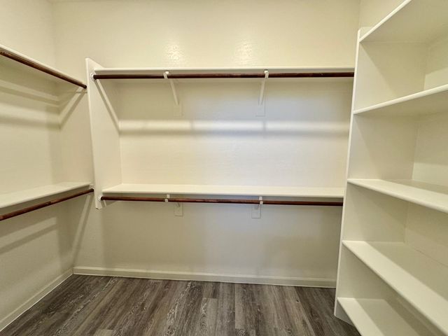 2308 E Dust Devil Drive, San Tan Valley, AZ 85143