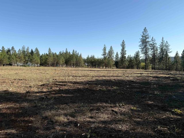 12321 Quail Run Way, Nine Mile Falls, WA 99026