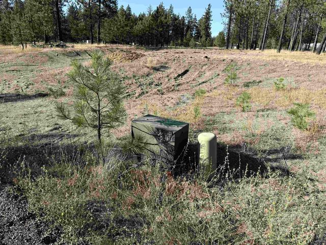 12321 Quail Run Way, Nine Mile Falls, WA 99026