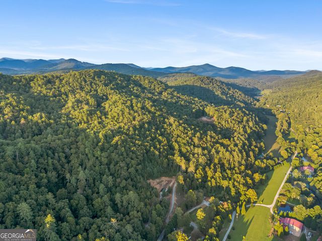 1063 Rickman Airfield Road, Clayton, GA 30525