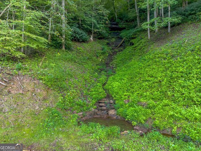 1063 Rickman Airfield Road, Clayton, GA 30525