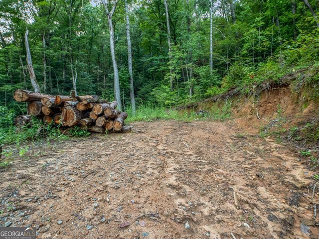 1063 Rickman Airfield Road, Clayton, GA 30525