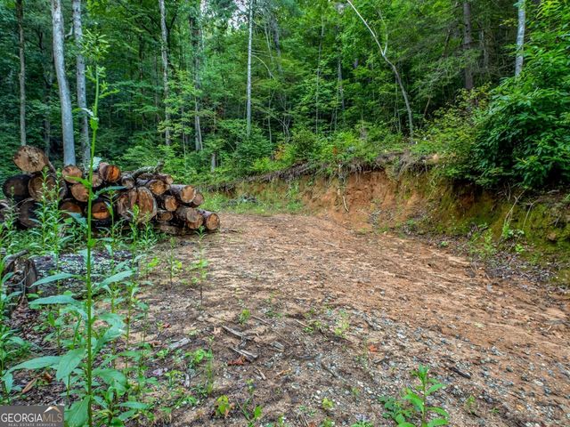 1063 Rickman Airfield Road, Clayton, GA 30525