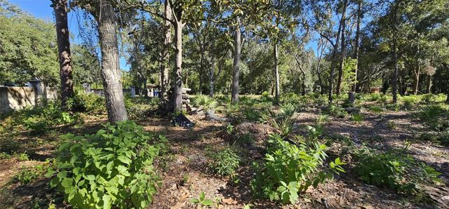 PIERMAJ LANE, Lutz, FL 33549