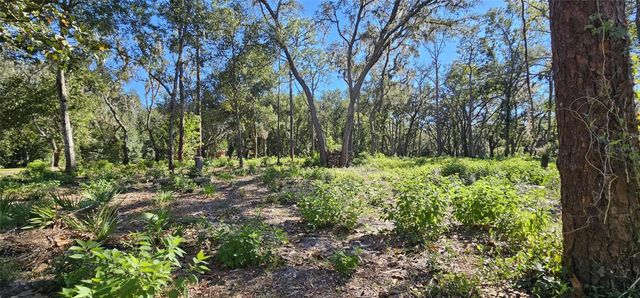 PIERMAJ LANE, Lutz, FL 33549