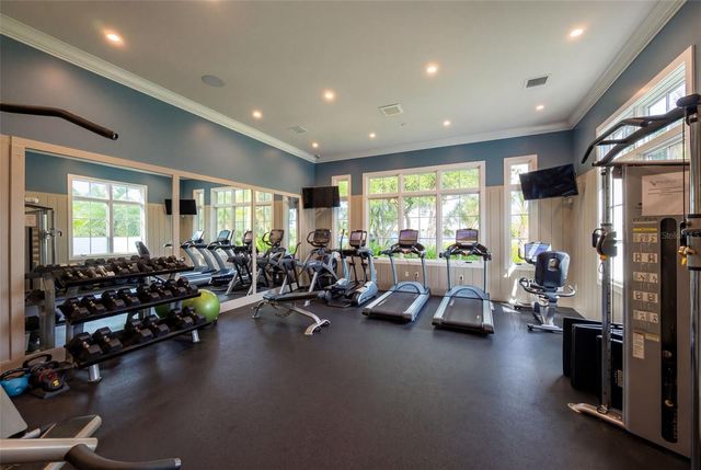 11721 RIVE ISLE RUN, Parrish, FL 34219