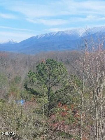 2614 Grassy Branch Loop, Sevierville, TN 37876