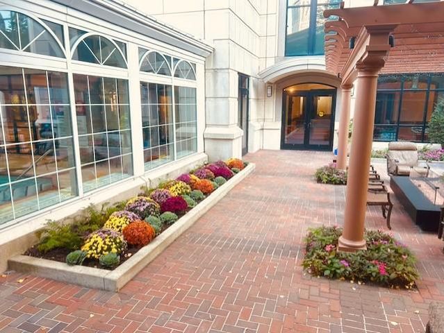 500 E Grant Street 907, Minneapolis, MN 55404