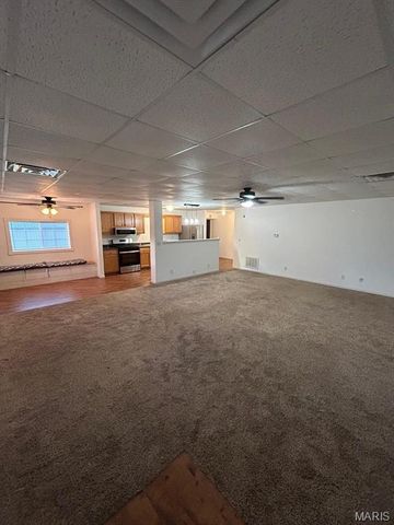 112 E. Martin Street, Perry, MO 63462