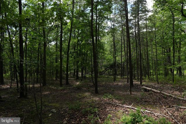 1917 S TIMBER RIDGE, Cross Junction, VA 22625