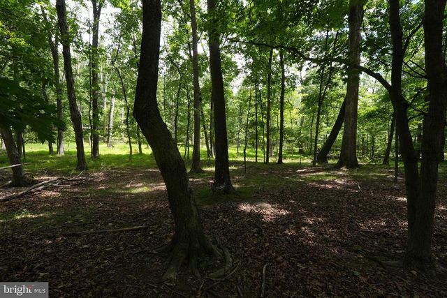 1917 S TIMBER RIDGE, Cross Junction, VA 22625