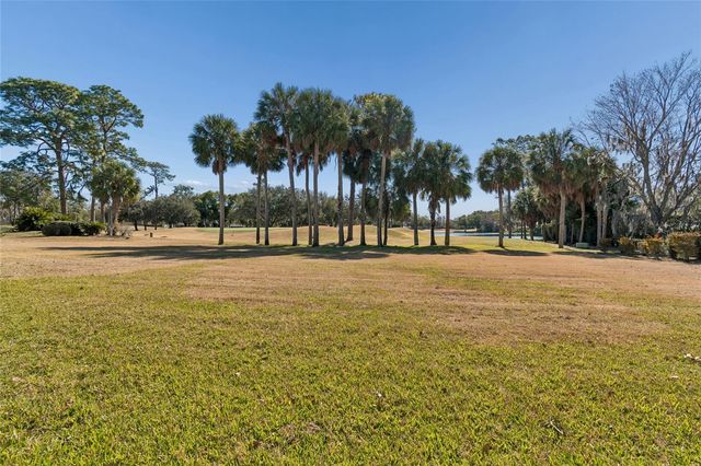 29244 WHIPPORWILL LANE, Wesley Chapel, FL 33543