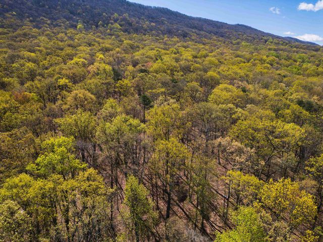 TBD SHOTGUN SPRING RD, New Market, VA 22844