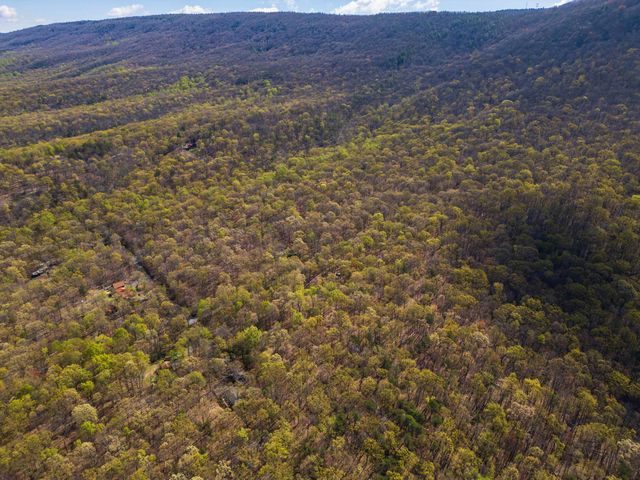 TBD SHOTGUN SPRING RD, New Market, VA 22844