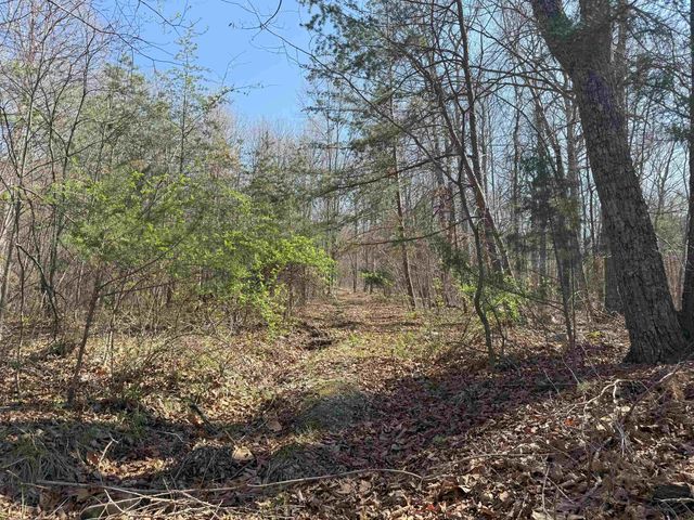 TBD SHOTGUN SPRING RD, New Market, VA 22844