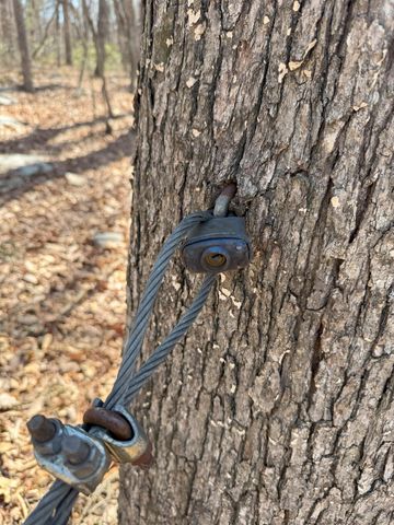 TBD SHOTGUN SPRING RD, New Market, VA 22844