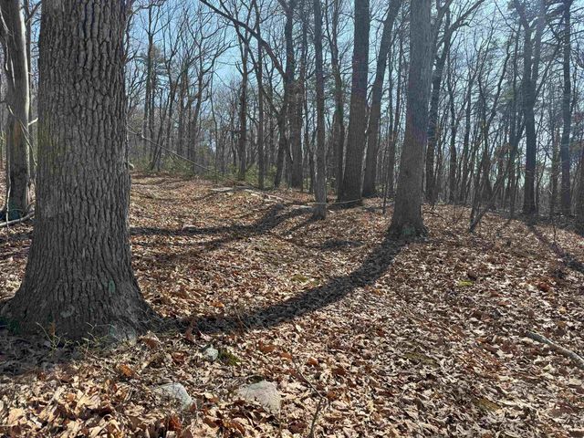 TBD SHOTGUN SPRING RD, New Market, VA 22844