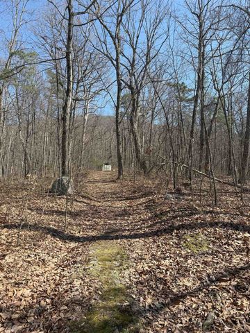 TBD SHOTGUN SPRING RD, New Market, VA 22844