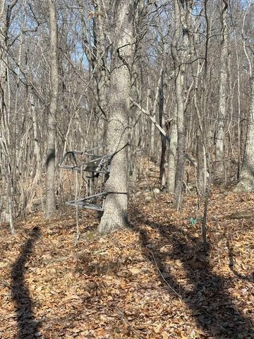 TBD SHOTGUN SPRING RD, New Market, VA 22844