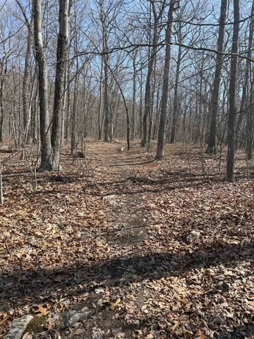 TBD SHOTGUN SPRING RD, New Market, VA 22844