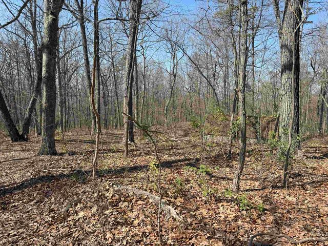 TBD SHOTGUN SPRING RD, New Market, VA 22844