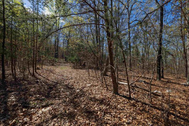 TBD SHOTGUN SPRING RD, New Market, VA 22844