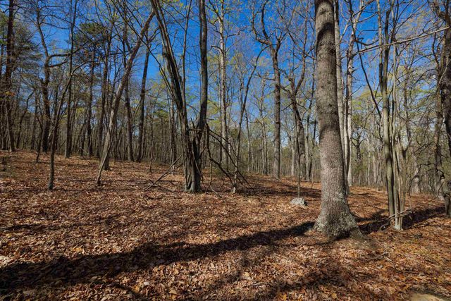 TBD SHOTGUN SPRING RD, New Market, VA 22844