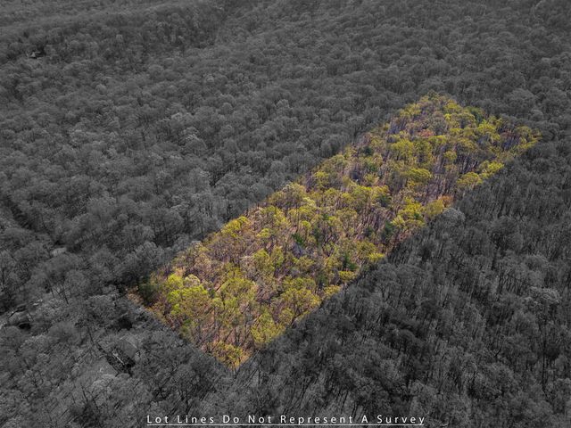 TBD SHOTGUN SPRING RD, New Market, VA 22844