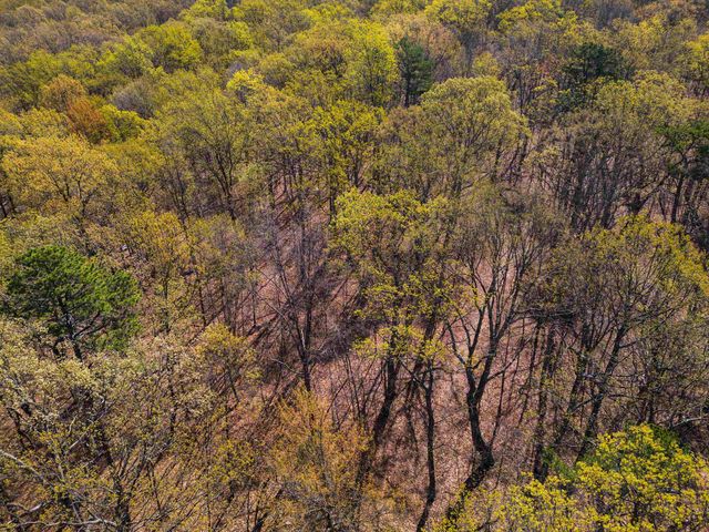 TBD SHOTGUN SPRING RD, New Market, VA 22844