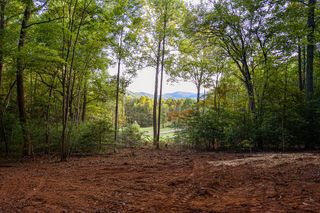 0 Cottonwood Lane, Blue Ridge, GA 30513