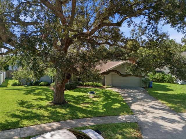 13536 LAKE MAGDALENE DRIVE, Tampa, FL 33613