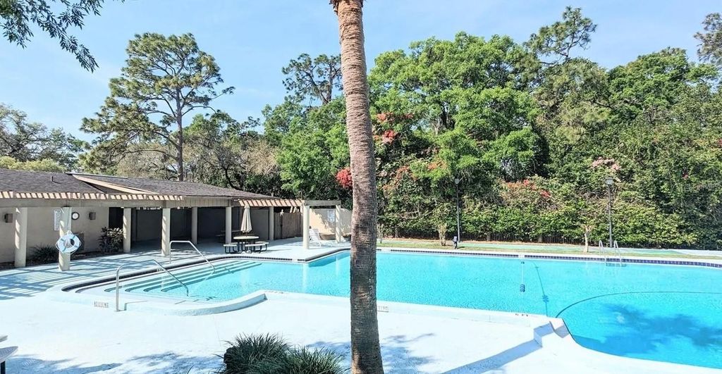 3111 CREEKGLEN COURT, Brandon, FL 33511