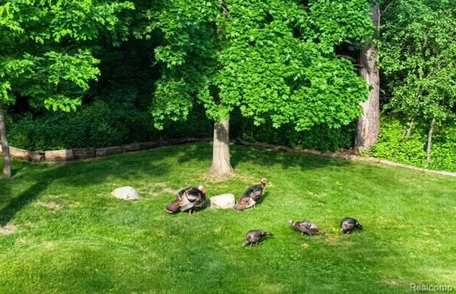 1437 Lantern Lane, Rochester Hills, MI 48306