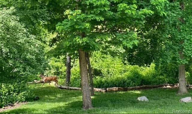 1437 Lantern Lane, Rochester Hills, MI 48306