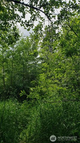 11 xx 6th Avenue SE, Issaquah, WA 98027