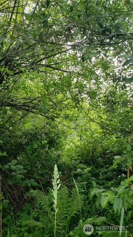 11 xx 6th Avenue SE, Issaquah, WA 98027