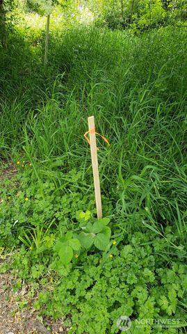 11 xx 6th Avenue SE, Issaquah, WA 98027